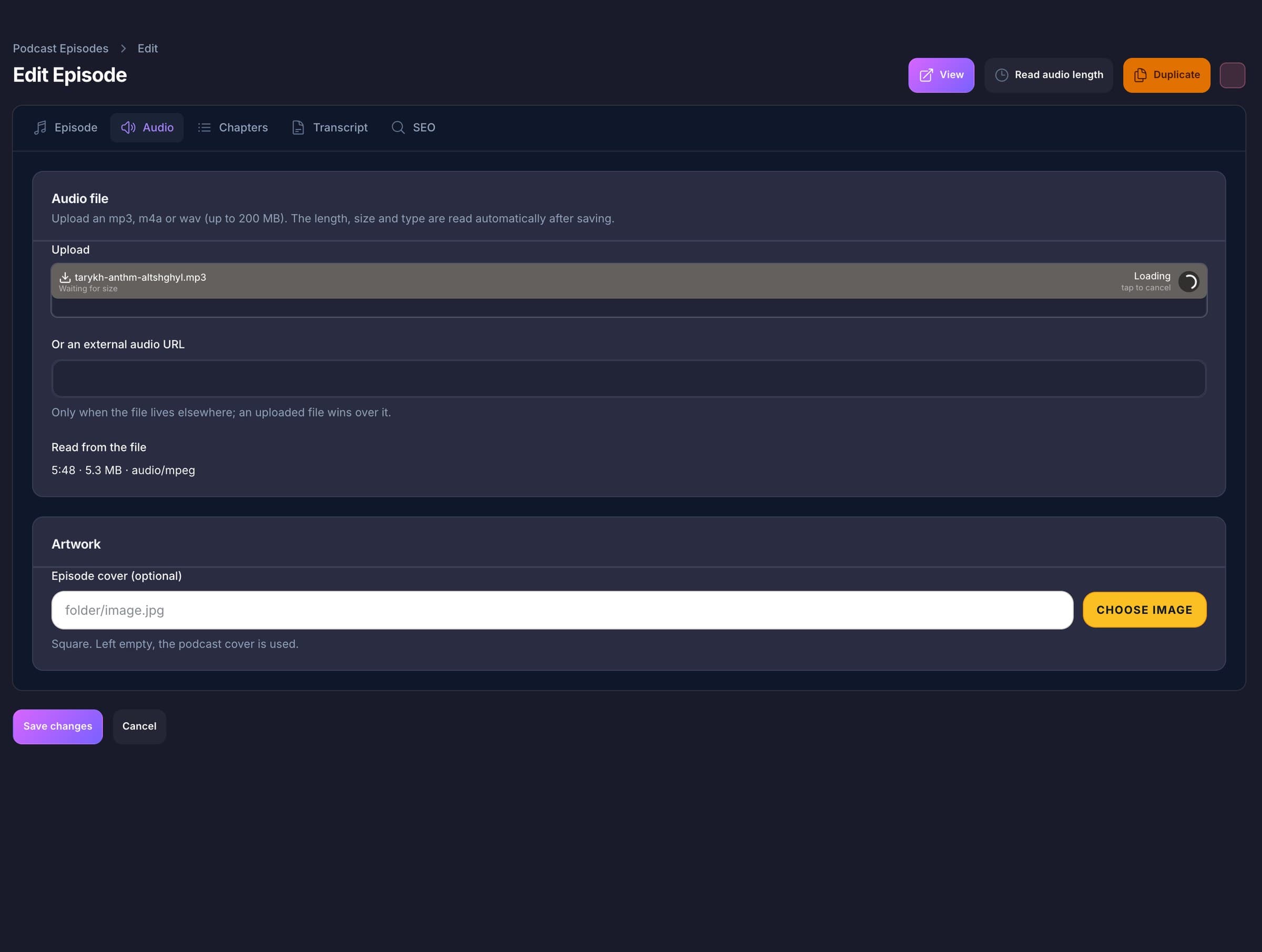 Pods episode editor, audio tab