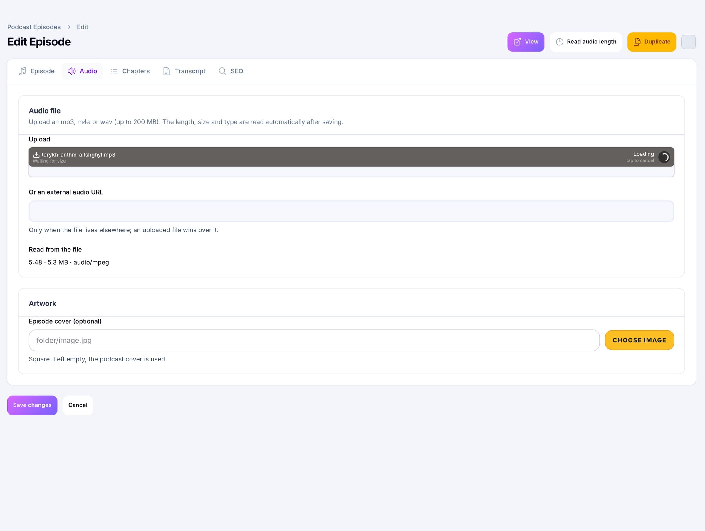 Pods episode editor, audio tab